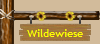 Wildewiese